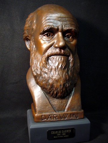 Large Bust of Charles Darwin